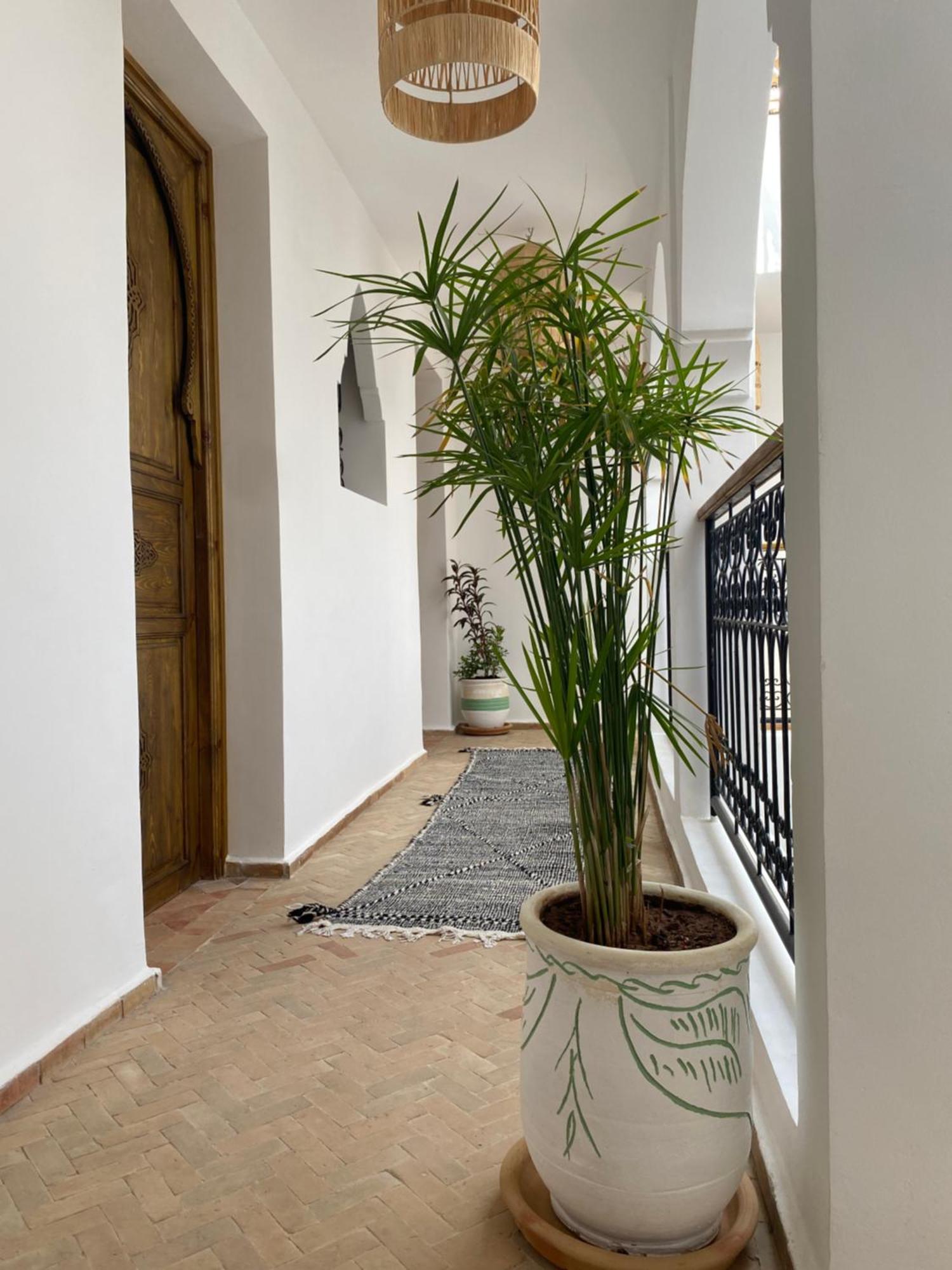 Riad & Spa Sous Le Soleil Chez Jerome Et Pamela Ch Zen 马拉喀什 外观 照片